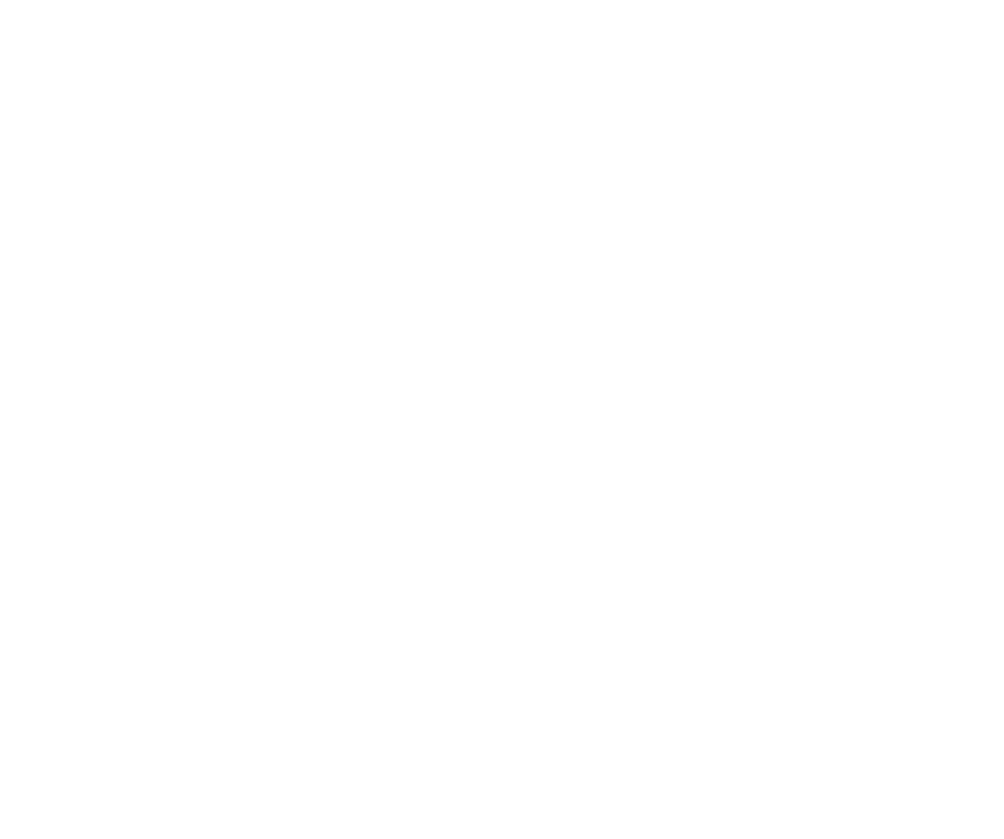 Havan
